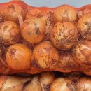딸 시댁에서 가져온 양파 이미지