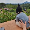 미영목장 이미지