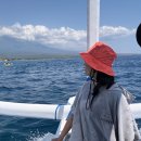 마크로 | 발리 아메드 다이빙 | 마크로 & 난파선 다이빙 후기 | Adventure divings bali