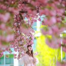 대구상인초등학교 이미지