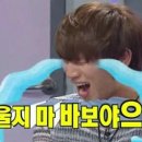 여수게스트하우스플라잉피그B&B