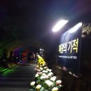 광명동굴 이미지