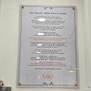 고양이무마취미용 무냥무냥 대구점 이미지