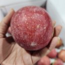 친환경 농법 칼슘 보르도액 사과!!!! 이미지