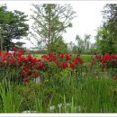 부산수목전시원 이미지