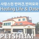 힐링페츠