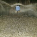 (주)디오 이미지