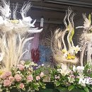 한국생화유통 뉴시스