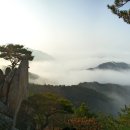 제123차 정기산행 제천 단양 금수산 산행(1015 M) 2019년 4월 21일 이미지