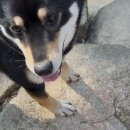 먹구가자 | 관악산 운 n빵하러 가자!!