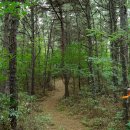 대부마을경로당 이미지