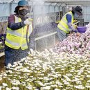 백양산 양묘장 이미지