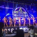 베어리핏 이미지