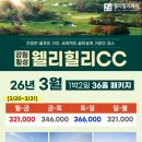 힐리 티스토리