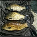 장성시내길 이미지