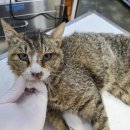 이배재로 이미지