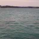 김녕해변 ㅡ도보 ㅡ월정리해변 ㅡ201번 ㅡ표선해변야영장 이미지