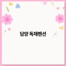 자연속힐링펜션 티스토리