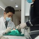 정릉치과의원 이미지