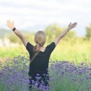 순희의정원 이미지