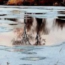 기악교실 이미지