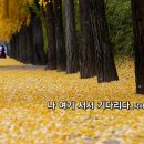현대시선 밴드 9월의 선정시_나 여기 서서 기다리다_작사 임선미_작 편곡 수노_기획 윤기영 이미지