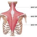 바디스 짐 이미지