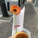 진다리로 | 광주 다크서클 커버 후기｜백운동 1:1 관리 오닛에서 눈밑 인상 달라졌어요