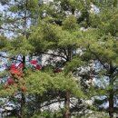 송죽가헌 이미지