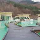 드위트리 풀빌라펜션 & 카라반가든 이미지