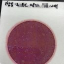 나연푸드
