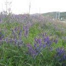 지천소공원 이미지