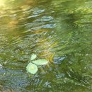 남지계곡 입구 이미지