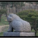 마전목장 이미지