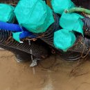 전기메인 인입선 CD관 누수 하자 공사(22.8.5.) 이미지