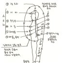 [통합의식] #10 쿤달리니(Kundalini)가 불러올 미래 이미지