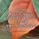 9월 끝자락에서 이미지