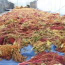 영원농장 이미지