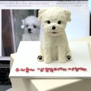 프프프 스토어 이미지