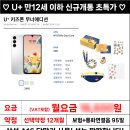 폰질러 네이버블로그