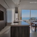 펜톤나인 이미지