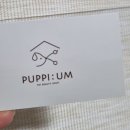 퍼피움 이미지
