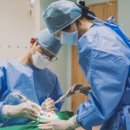 미소디자인치과의원 이미지