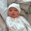 제일비니루 | n. 안산 베이비하우스 싸이벡스 제로나 T 카시트 구매 후기💺