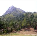 임내등산로 이미지