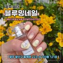 길편의숍 | 광주 첨단 네일숍 [블루밍네일첨단점] 5월 이달의 아트