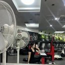 미진스포츠