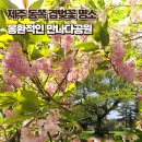 몽환경로당 이미지