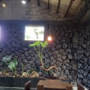 꼬꼬반점 | 4일차] 부모님과 함께한 제주도 여행일정 (with 해조네, 박수기정, 크래커스, 대원오메기떡, 꼬꼬반점)