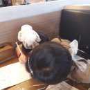 스푼더마켓 광주충장로점 이미지